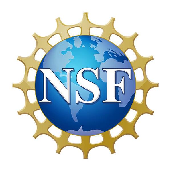 Logo of National Science Foundation