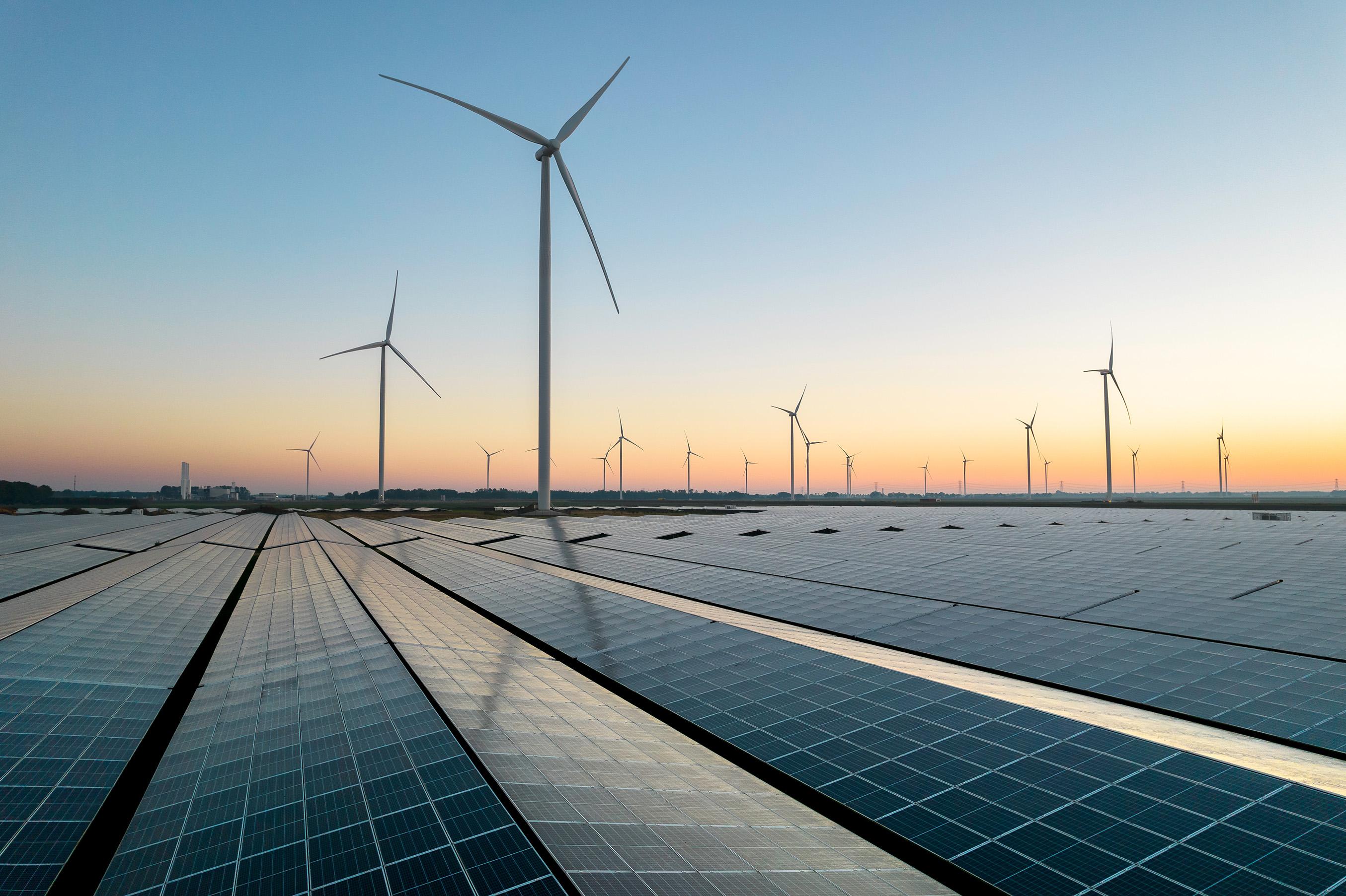 Windmills and solar panel field during sunrise